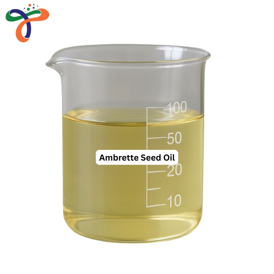 Ambrette Seed Oil